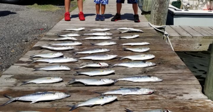 Bobs Bait And Tackle Fishing Trips Outer Banks NC