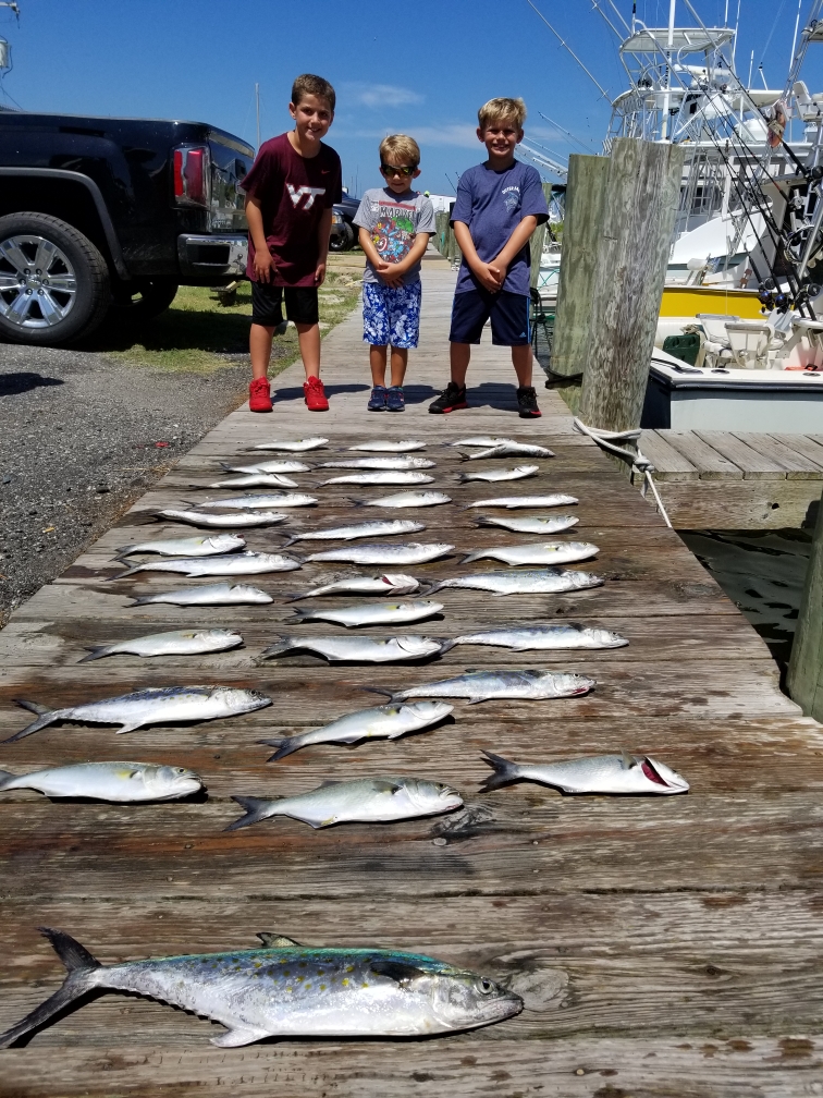 Bobs Bait And Tackle Fishing Trips Outer Banks NC