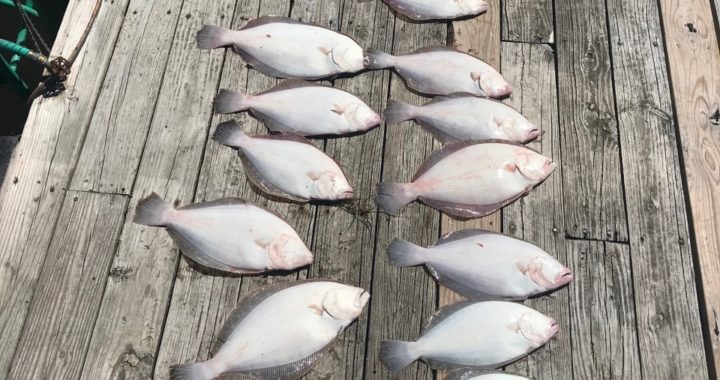 Bobs Bait And Tackle sportsman half day charters