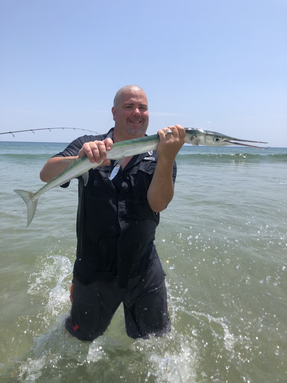 Hound fish caught on OBX Beach.