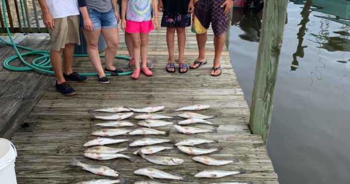 Bobs Bait And Tackle Outer Banks fishing charter reports