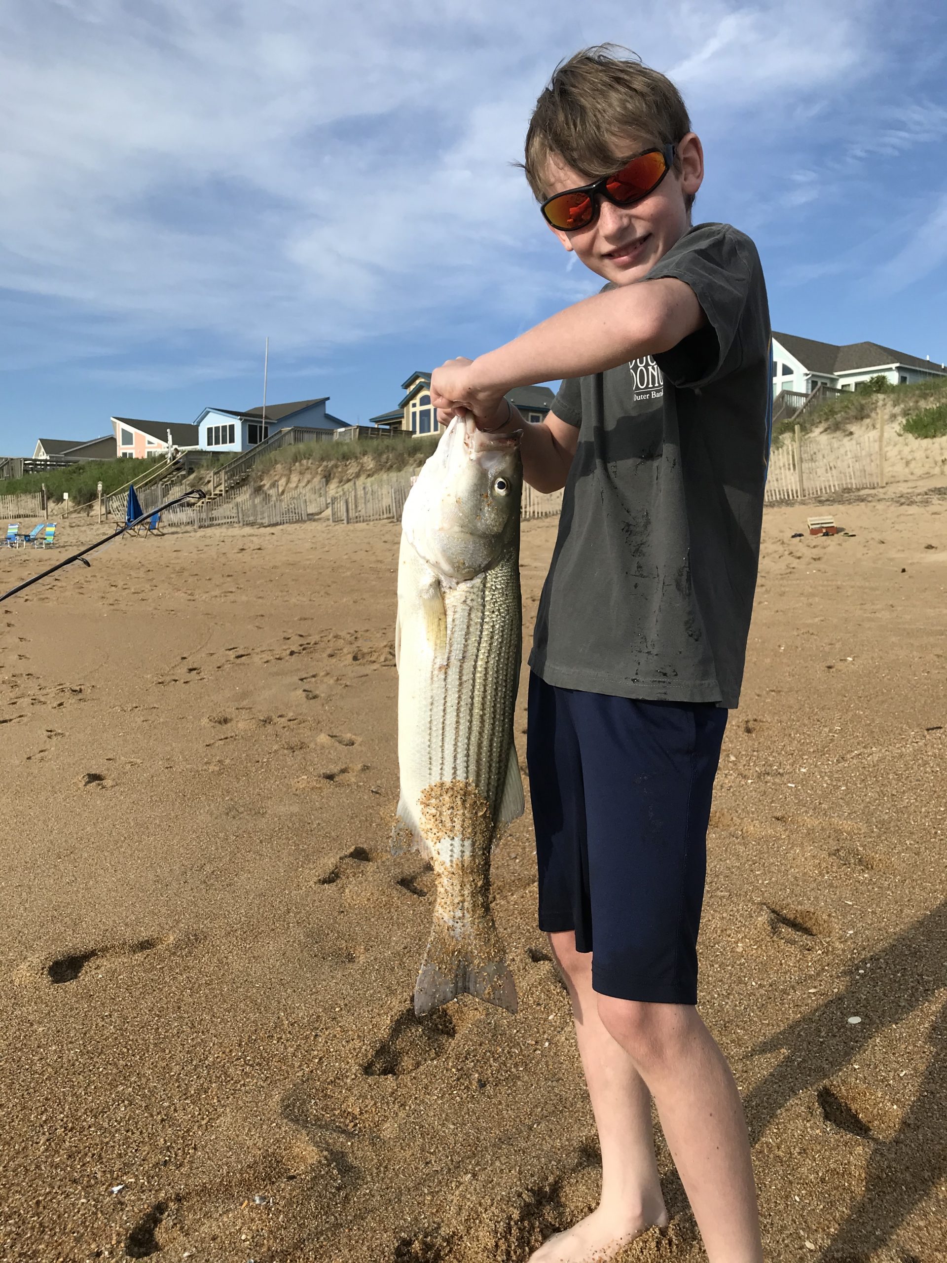 Striped bass Northern Outer Banks Beaches 6/7/2020