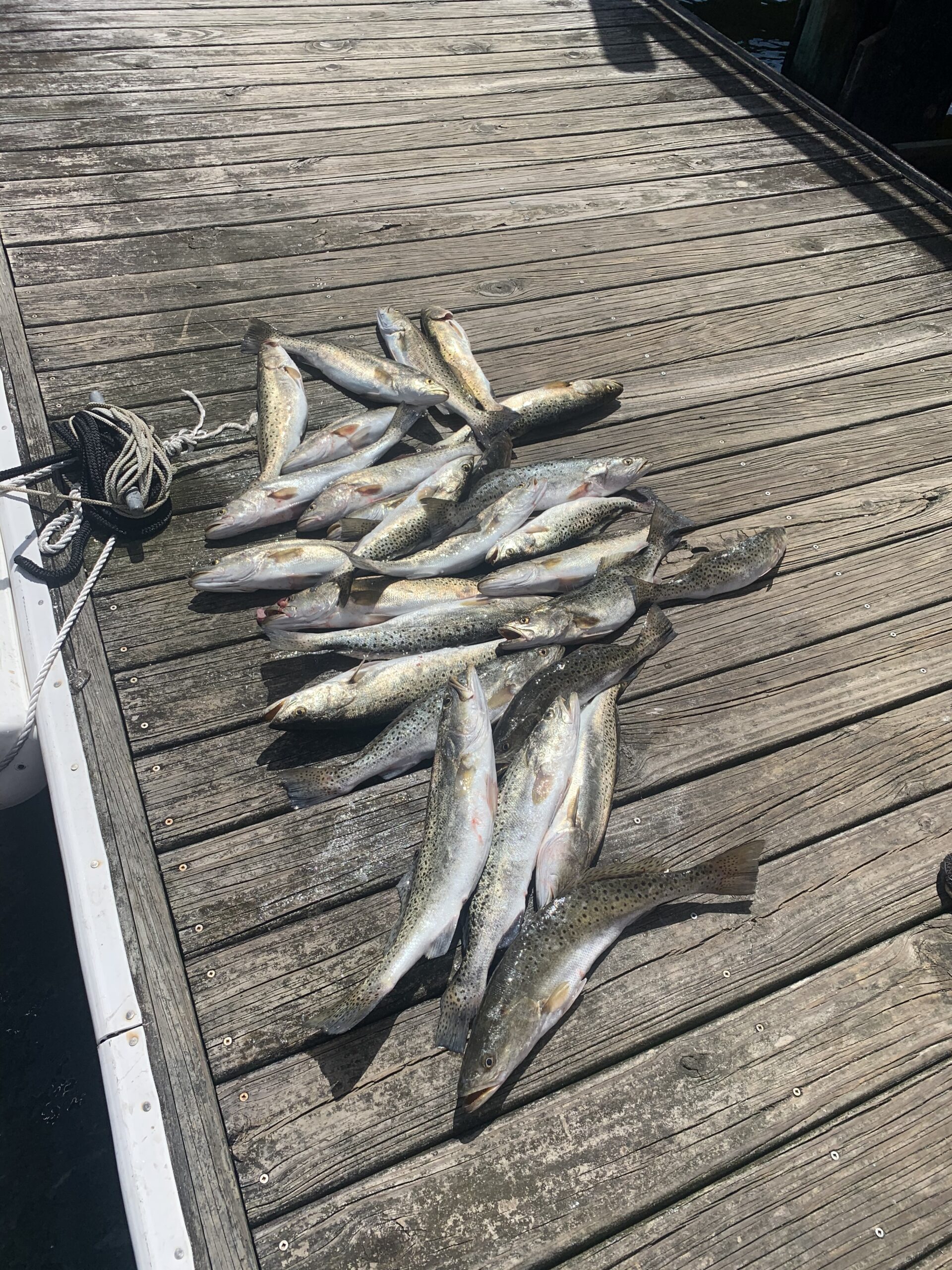 Outer Banks Fishing trips.