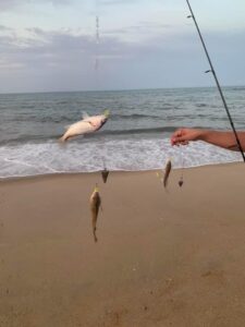 Surf fishing in Duck and Southern shores, NC 