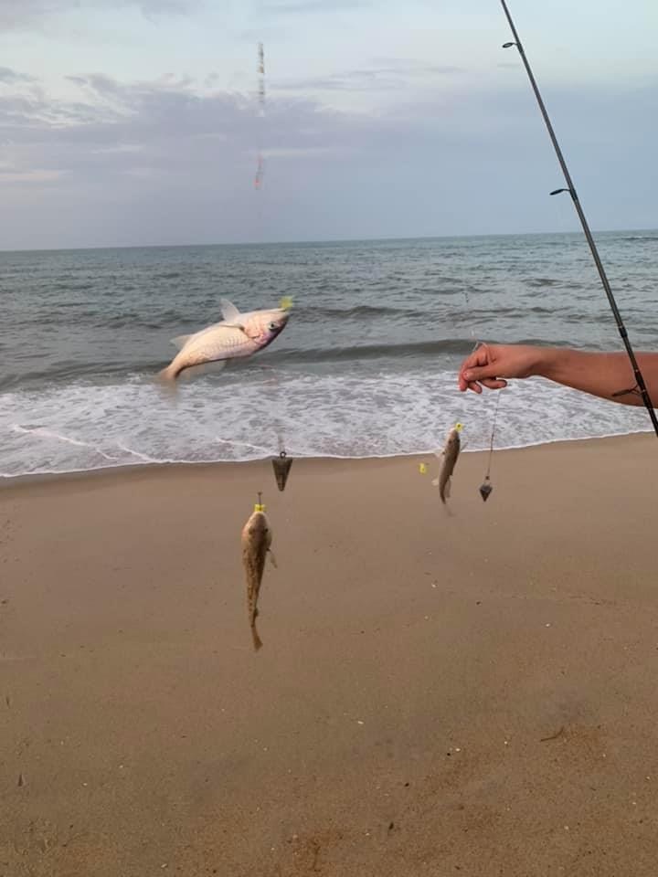 Surf fishing in Duck and Southern shores, NC
