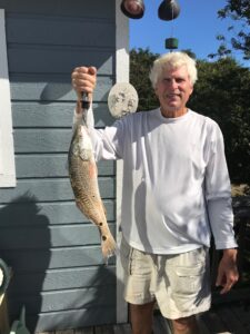 Red drum on Duck and Corolla surf.