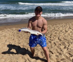 Red drum on beach from Corolla to Ocracoke 