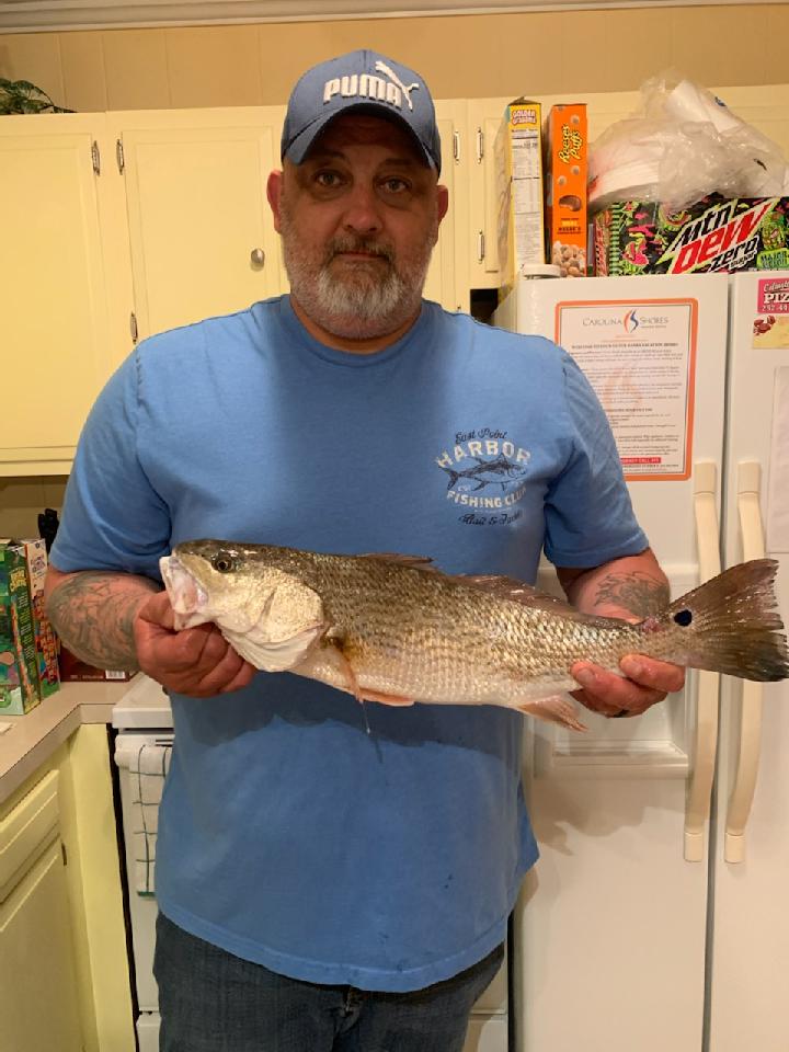 Red drum caught in kitty hawk bay, outer banks.