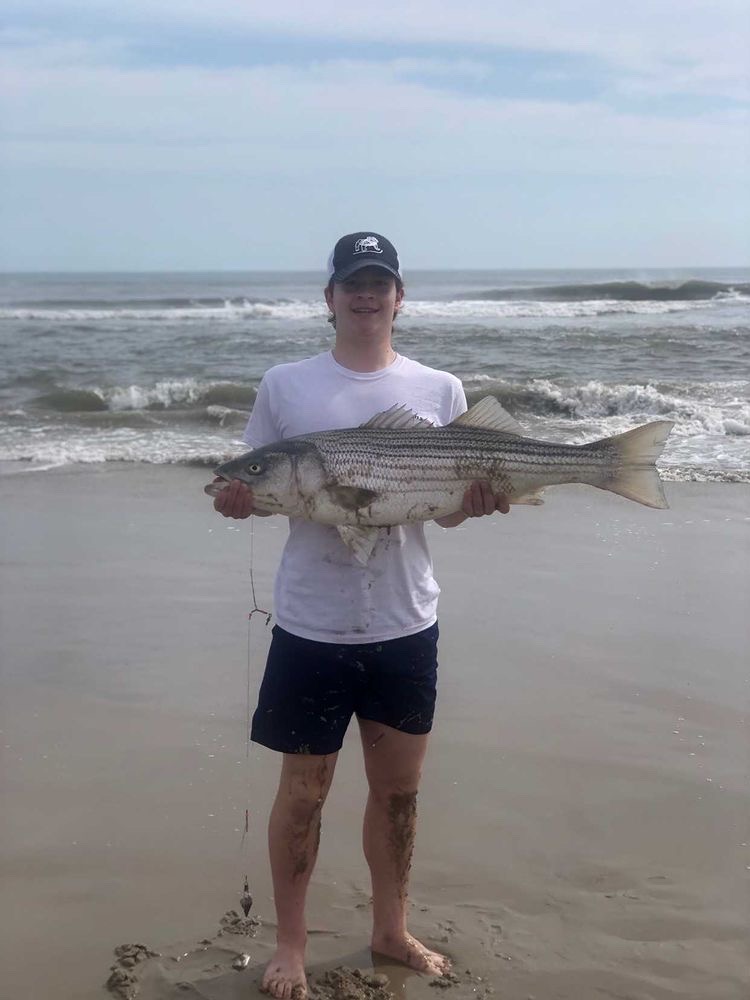 Striped bass caught on surf
