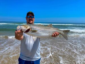 Striped Bass caught in Nags Head NC Surf.