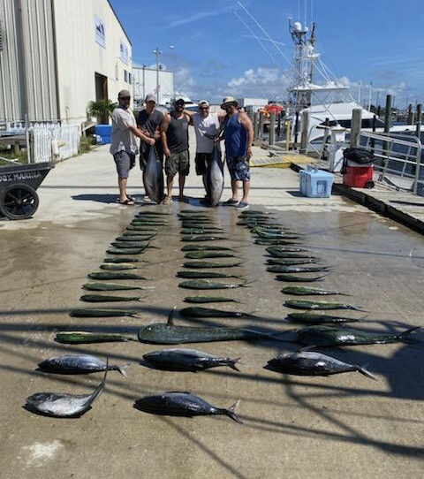 Bobs Bait And Tackle fishing charters outer banks NC 