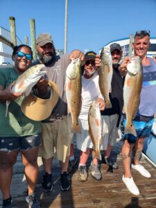 Bobs bait and tackle fishing charters 