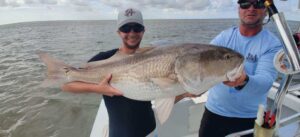 Big drum on our fishing charters 