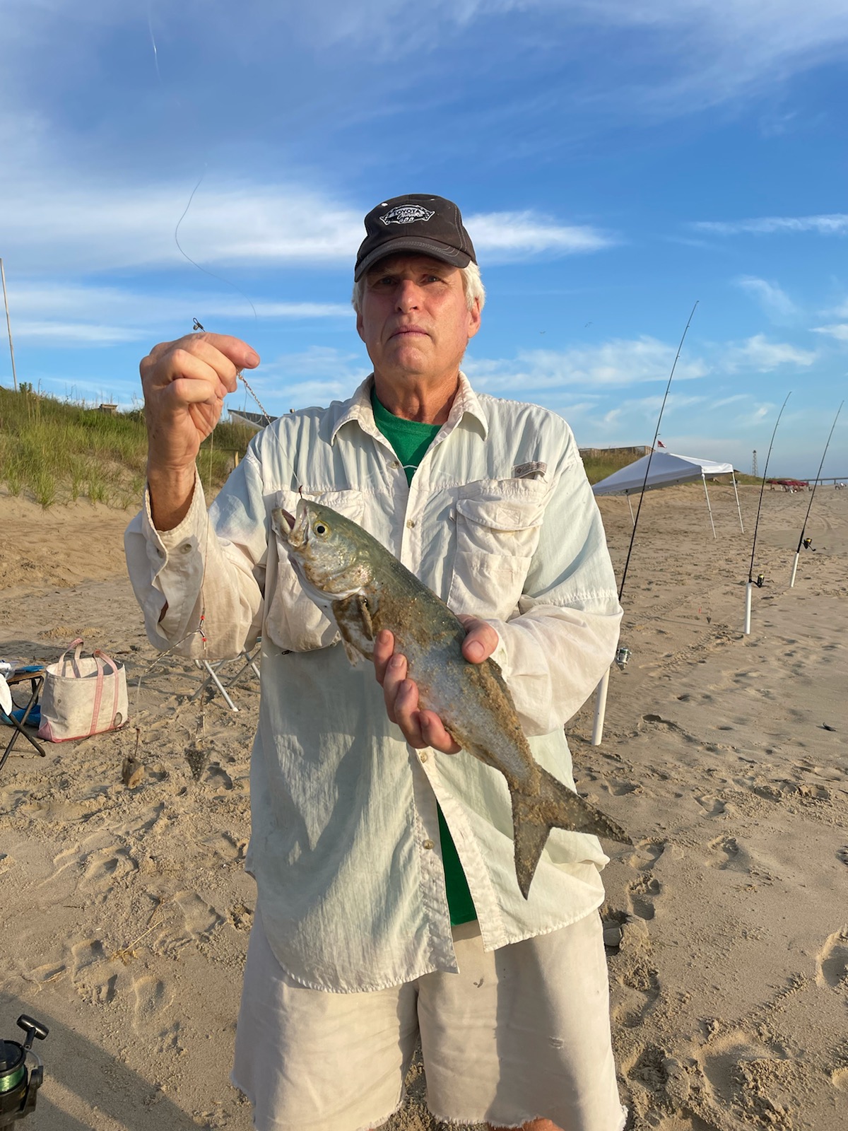 Bluefish on outer banks surf.