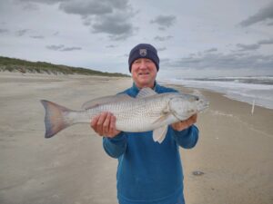 Rare Fish Caught In Duck, A Spotless Red Drum. 