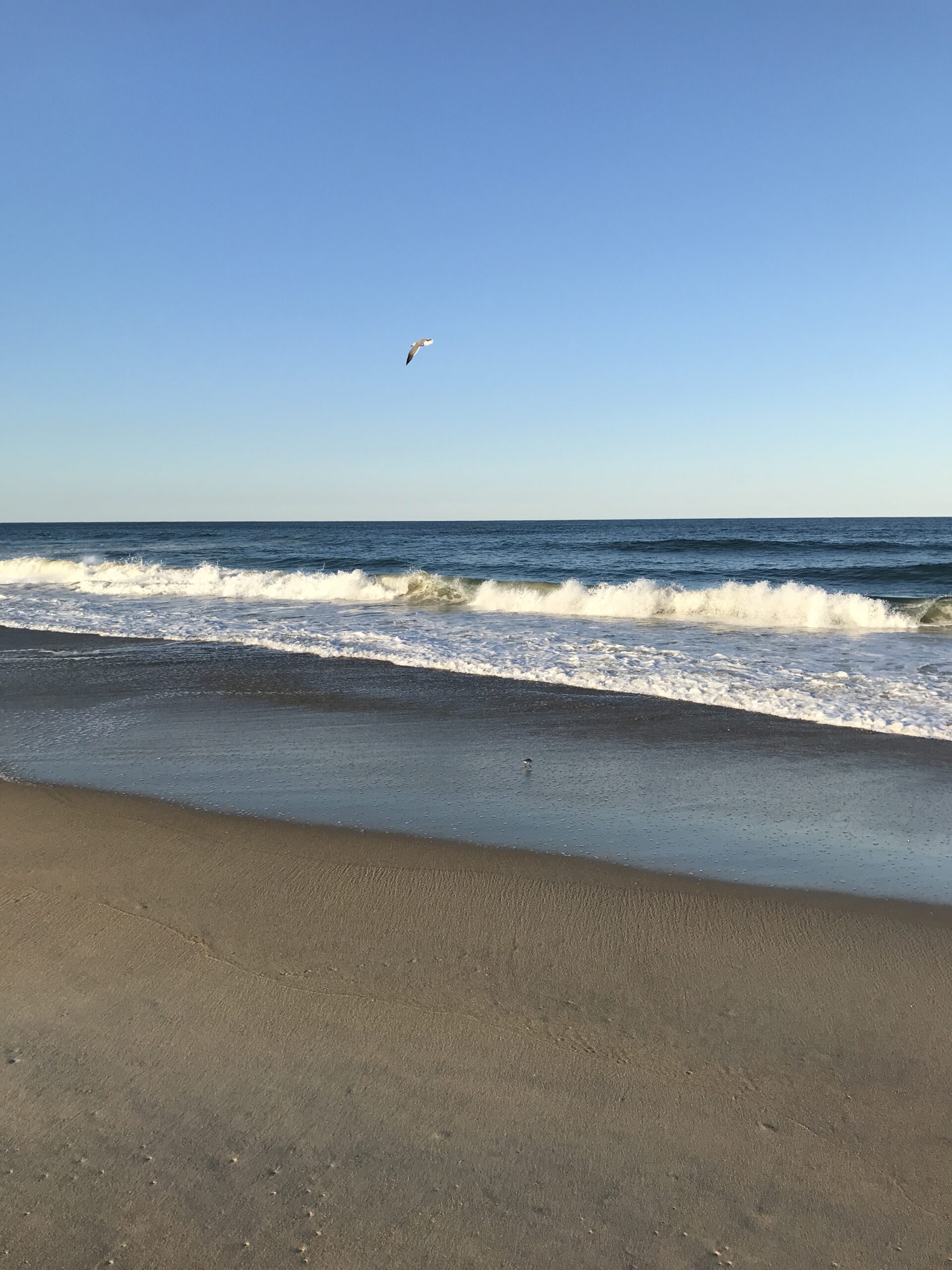 Outer Banks surf fishing