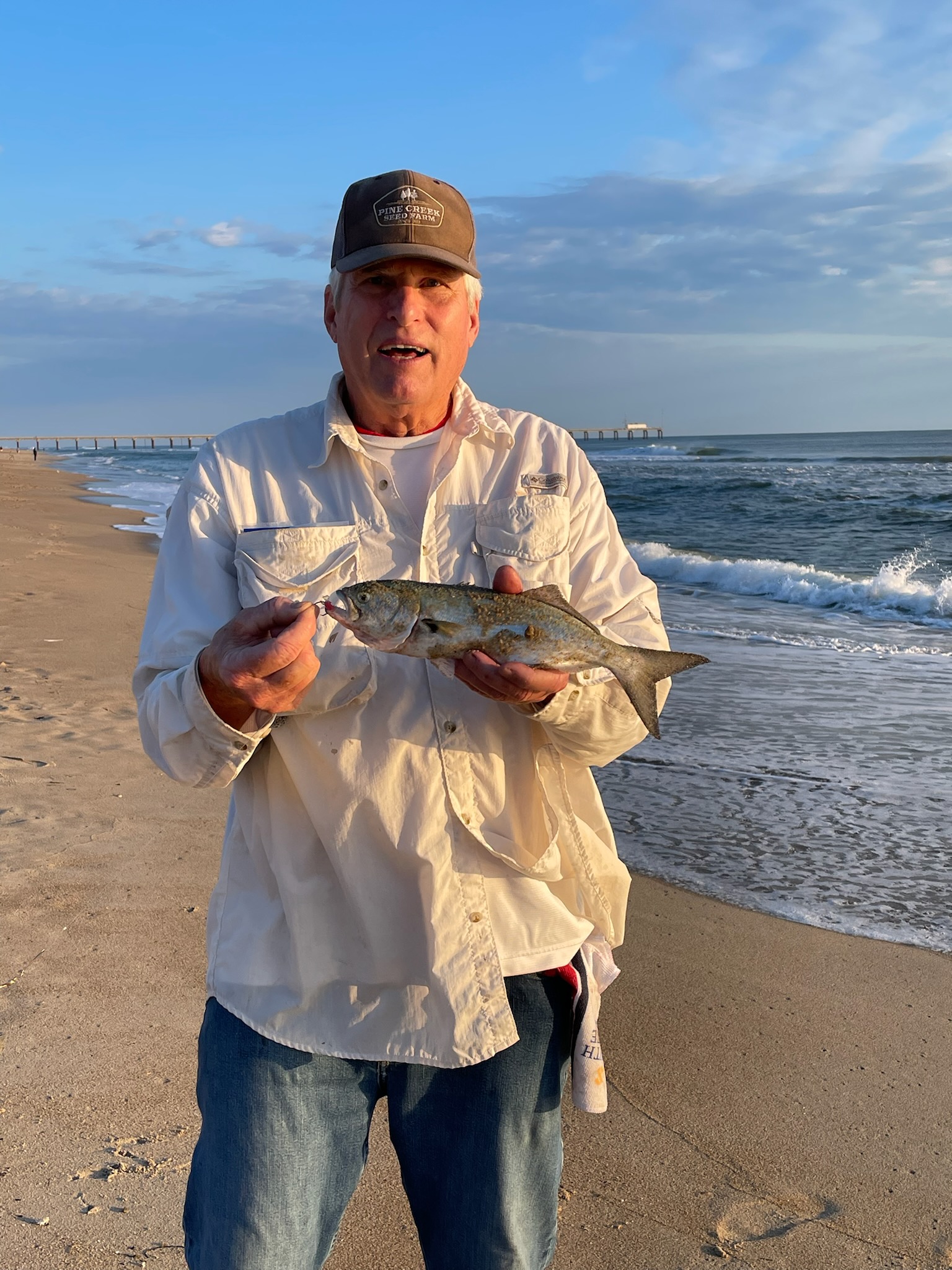 Bluefish on the Outer Banks