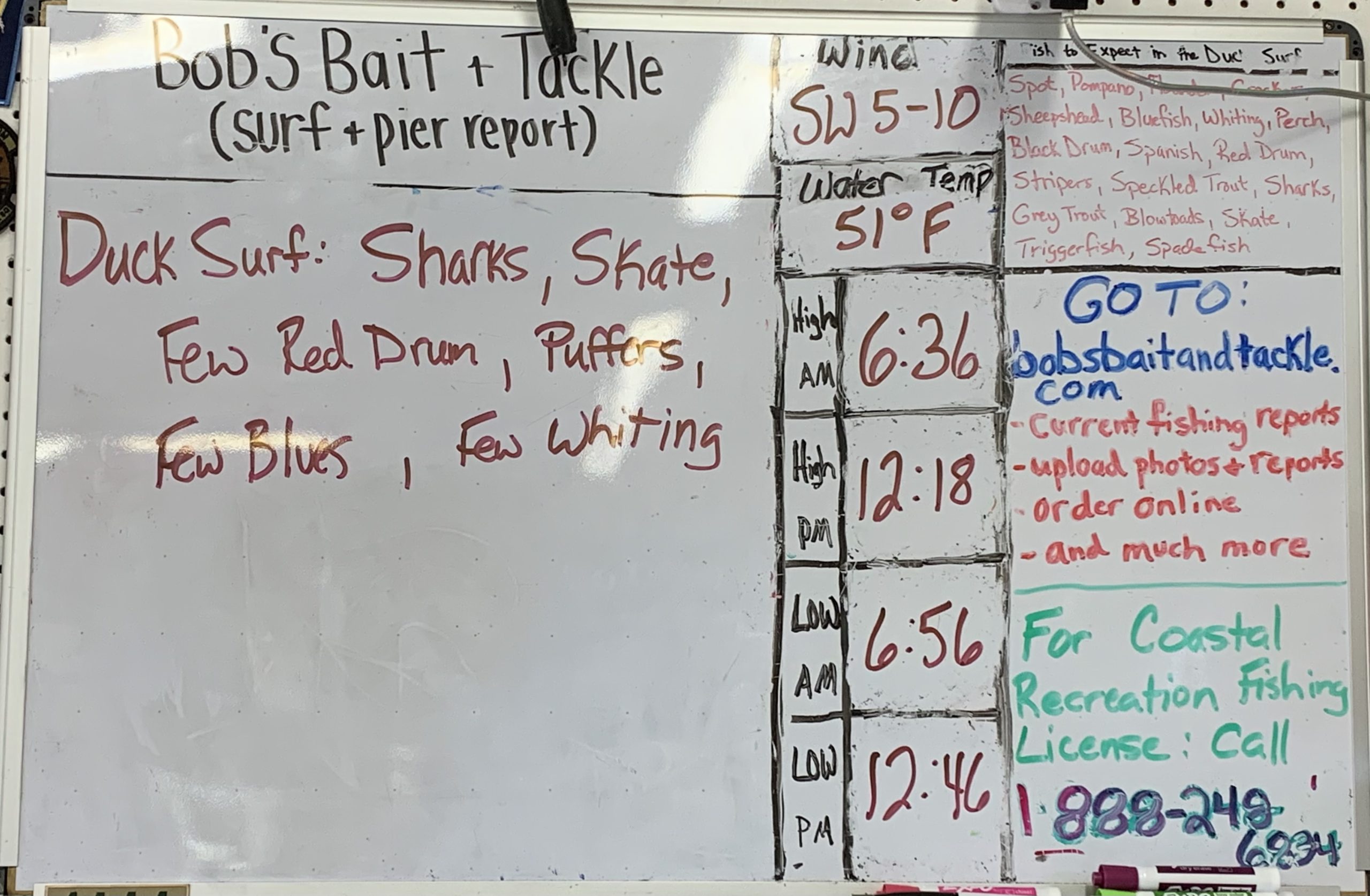 Outer Banks surf fishing report 4/3/23.