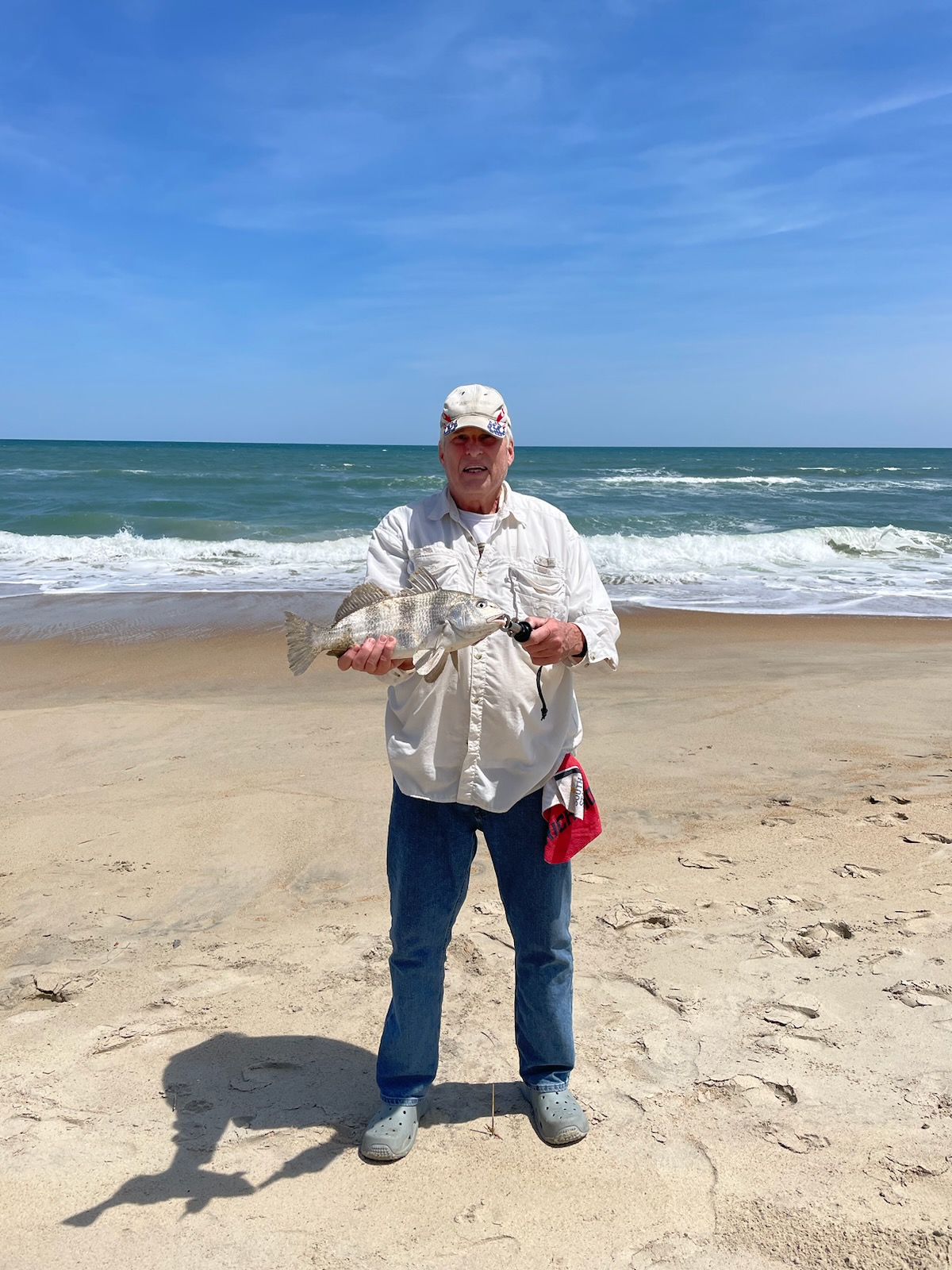 Black drum caught from Duck surf.