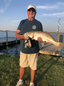 Red drum being caught in the sound and ocean