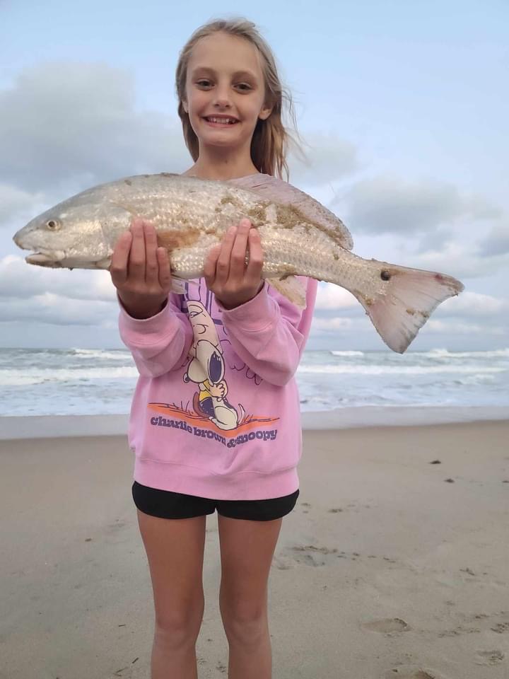 Plenty of red drum along the surf.