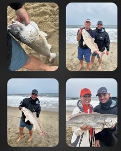 Great Drum Fishing from the surf. 