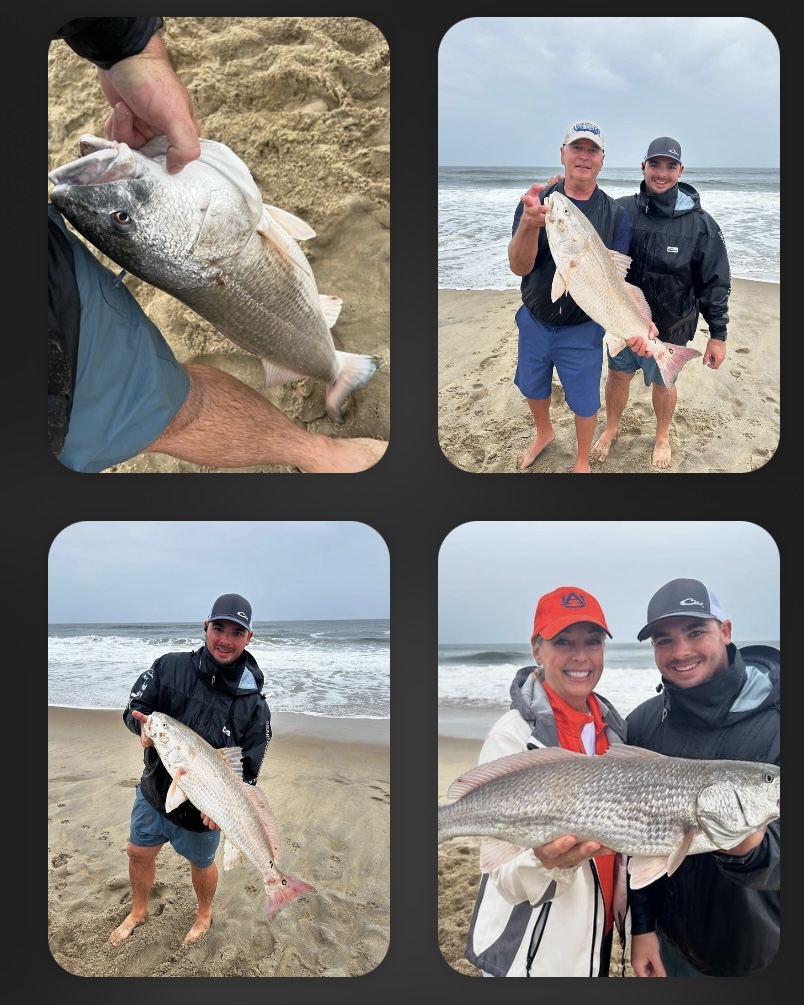 Great Drum Fishing from the surf.