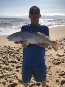 Plenty of fish northern OBX 