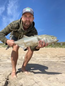 Big bluefish and red drum outer banks 