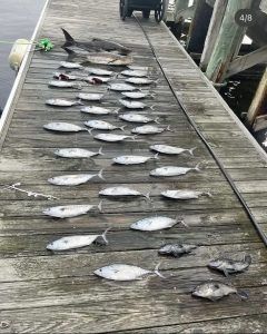 Outer Banks Fishing Report 