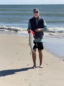Great surf fishing on the northern beaches 